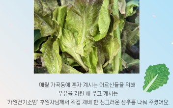 '가원전기소방'후원자님의 상추 후원! 이미지